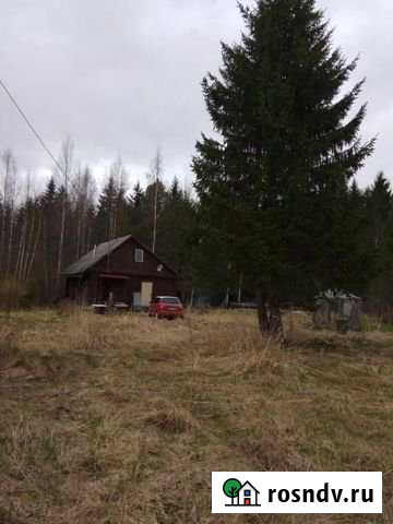 Дом 55 м² на участке 16 сот. на продажу в Кингисеппе Кингисепп - изображение 1