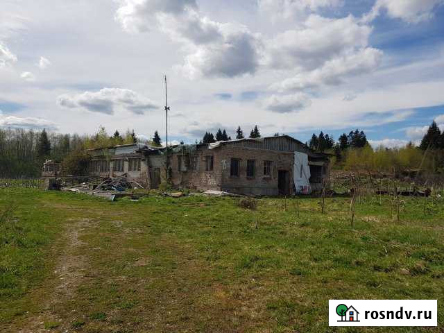 Фермерское хозяйство, 1710.4 кв.м. Сиверский - изображение 1