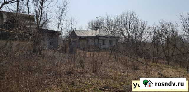 Дом 63.5 м² на участке 37.9 сот. на продажу в Павловске Воронежской области Павловск - изображение 1