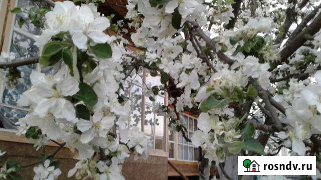 Дом 90 м² на участке 8 сот. на продажу в Кулебаках Кулебаки - изображение 1