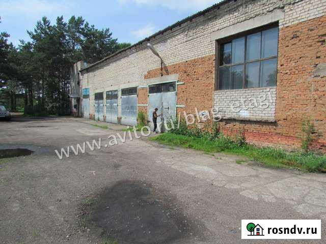 Свободного назначения 1193.5 кв.м. Благовещенск - изображение 1