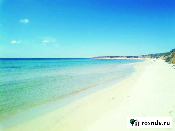 Участок СНТ, ДНП 100 сот. на продажу в Черноморском Республики Крым Черноморское - изображение 1