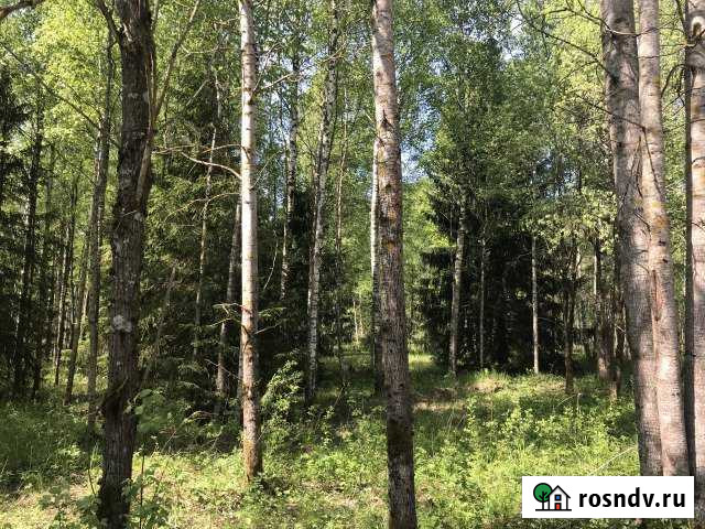 Участок ИЖС 14 сот. на продажу во Всеволожске Всеволожск - изображение 1