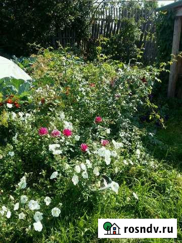 2-комнатная квартира, 39 м², 1/1 эт. на продажу в Кунгуре Кунгур - изображение 1