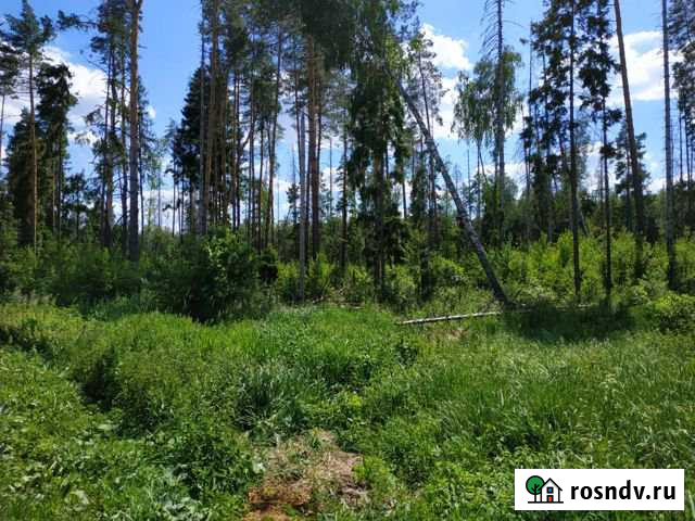 Участок ИЖС 20 сот. на продажу в Щёлково Щёлково - изображение 1