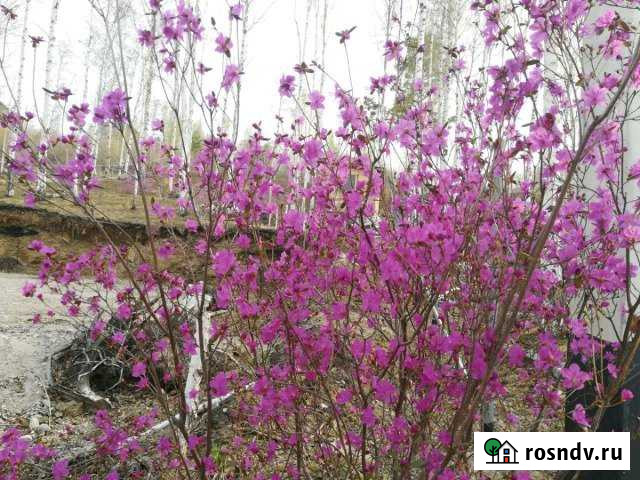 Участок ИЖС 16 сот. на продажу в Маркове Маркова - изображение 1