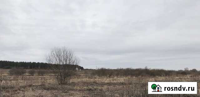 Участок СНТ, ДНП 21 сот. на продажу в Дубовой Роще Дубовая Роща - изображение 1