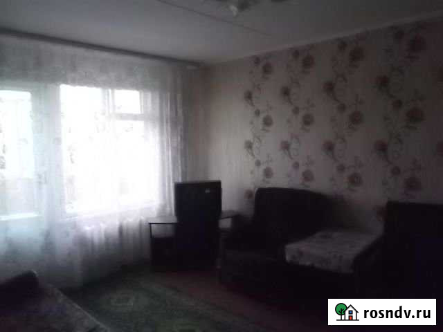 1-комнатная квартира, 32 м², 4/5 эт. в аренду на длительный срок в Яйве Яйва - изображение 1