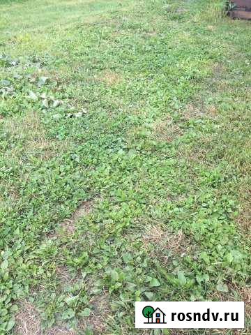 Участок СНТ, ДНП 12 сот. на продажу в Кольцово Кольцово - изображение 1