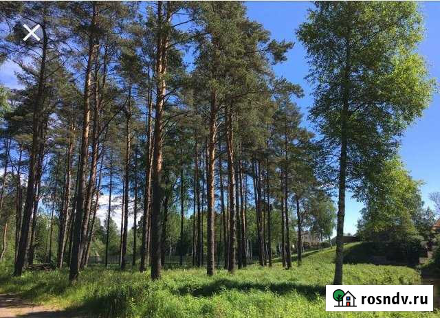 Участок СНТ, ДНП 5 сот. на продажу в Монетном Монетный - изображение 1