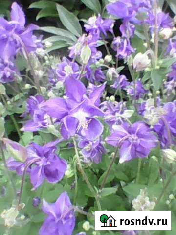 Дом 87 м² на участке 12 сот. на продажу в Чапаевске Чапаевск - изображение 1