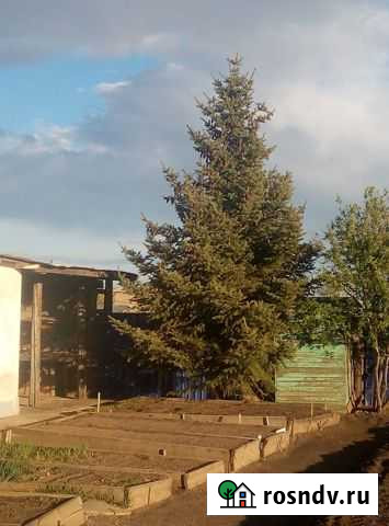 Участок ИЖС 24 сот. на продажу в Забайкальске Забайкальск - изображение 1