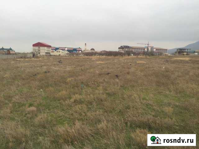 Участок СНТ, ДНП 300 сот. на продажу в Махачкале Махачкала - изображение 1