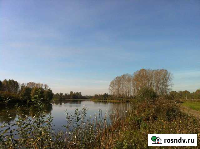 Участок СНТ, ДНП 1273 сот. на продажу в Калтане Калтан - изображение 1