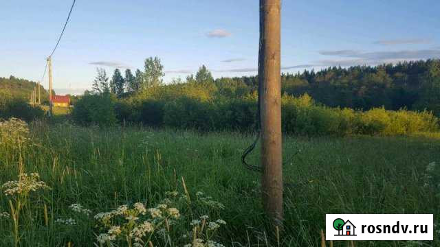 Участок ИЖС 25 сот. на продажу в Выборге Выборг - изображение 1