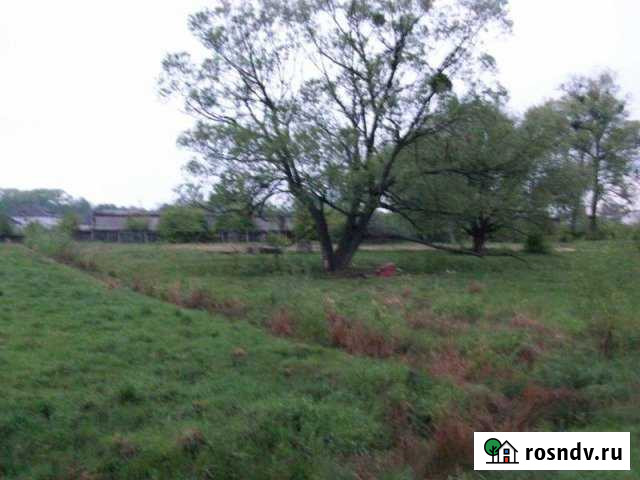 Участок ИЖС 5 сот. на продажу в Щучьем Щучье - изображение 1