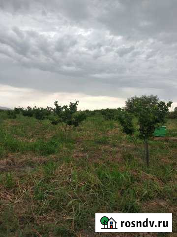 Участок СНТ, ДНП 300 сот. на продажу в Новой Маке Новая Мака - изображение 1