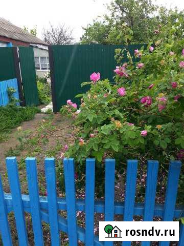 Дом 41.2 м² на участке 12.2 сот. на продажу в Таловой Таловая - изображение 1