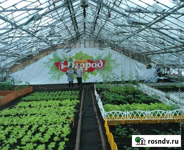 Производственное помещение, 1000 кв.м. Малаховка - изображение 1