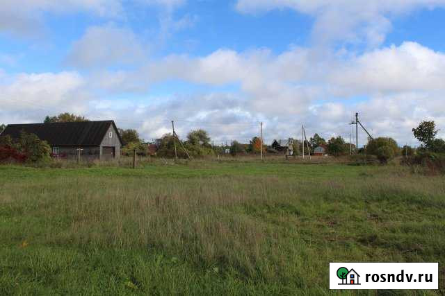 Участок ИЖС 20 сот. на продажу в Волосово Волосово - изображение 1