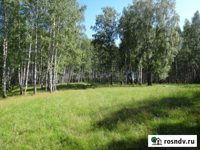 Участок ИЖС 9 сот. на продажу в Чкаловске Чкаловск - изображение 1