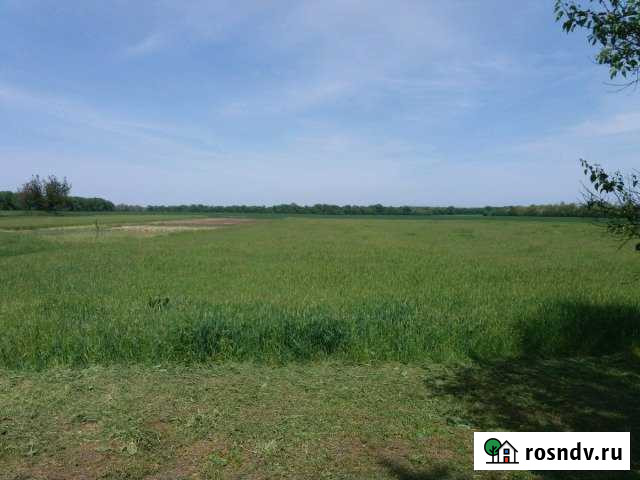 Участок ИЖС 68 сот. на продажу в Днепровской Днепровская - изображение 1