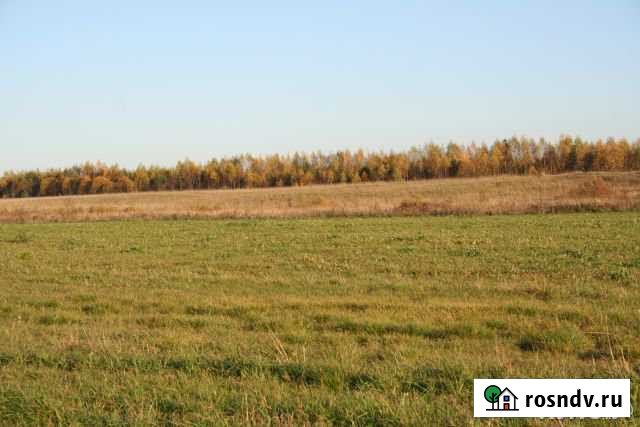 Участок СНТ, ДНП 470 сот. на продажу в Тихвине Тихвин - изображение 1