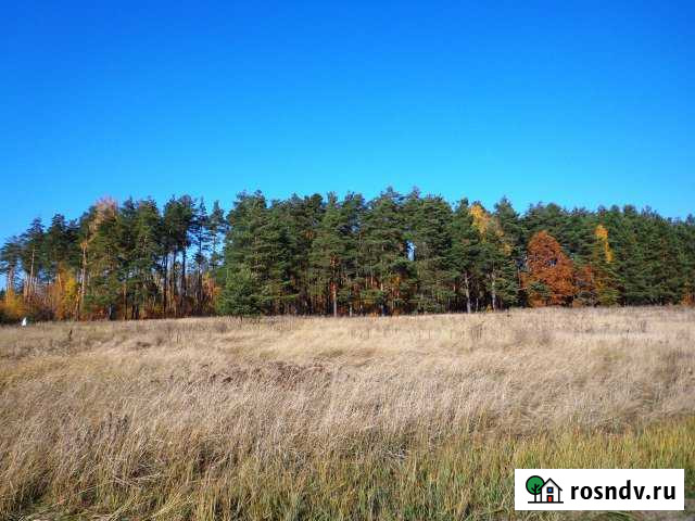 Участок ИЖС 20 сот. на продажу в Электроугли Электроугли - изображение 1