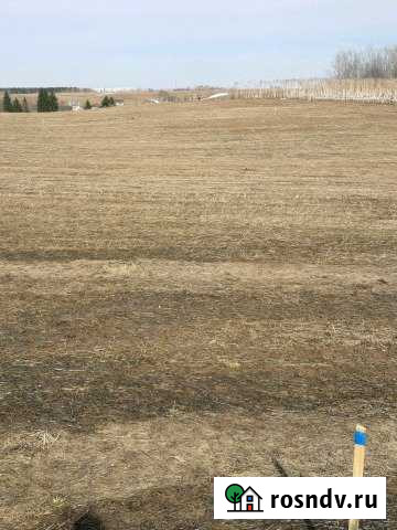 Участок ИЖС 10 сот. на продажу в Выльгорте Выльгорт - изображение 1