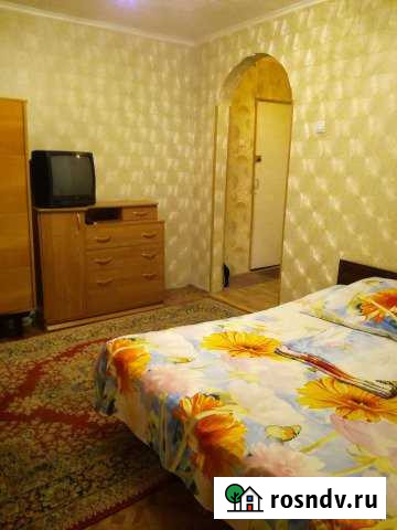 1-комнатная квартира, 27 м², 1/5 эт. в аренду посуточно в Линево Новосибирской области Линево - изображение 1