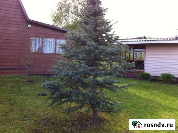 Участок ИЖС 12 сот. на продажу в Петрозаводске Петрозаводск - изображение 1