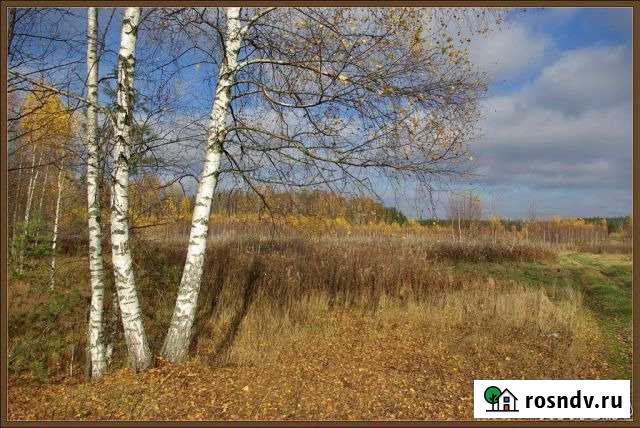 Участок СНТ, ДНП 30 сот. на продажу в Переславле-Залесском Переславль-Залесский - изображение 1