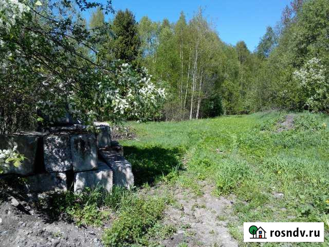 Участок СНТ, ДНП 20 сот. на продажу в Тайцах Тайцы - изображение 1