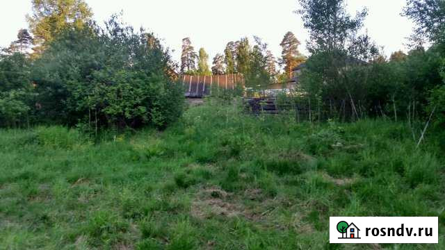 Участок ИЖС 14 сот. на продажу в Вырице Вырица - изображение 1