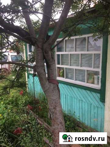 Дача 24 м² на участке 4.3 сот. на продажу в Шелехове Шелехов - изображение 1