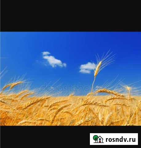 Участок ИЖС 11 сот. на продажу во Власихе Власиха - изображение 1