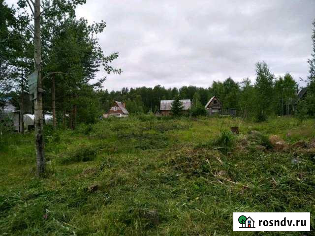 Участок СНТ, ДНП 10 сот. на продажу в Кондопоге Кондопога - изображение 1