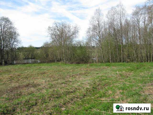 Участок ИЖС 20 сот. на продажу в Кингисеппе Кингисепп - изображение 1