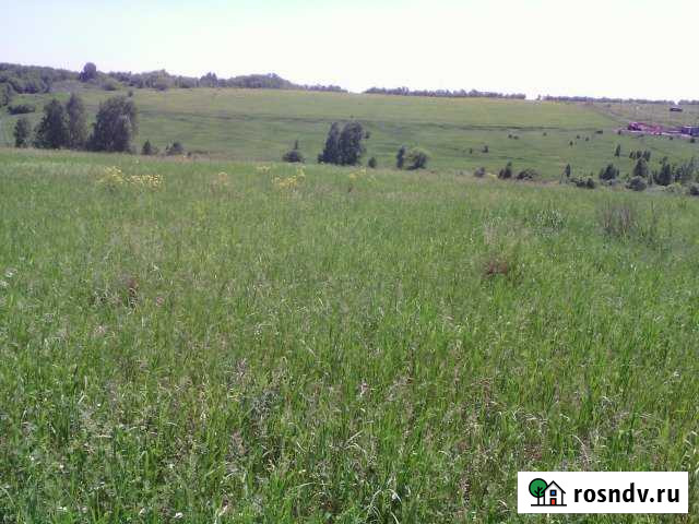 Участок СНТ, ДНП 200 сот. в аренду в Новокузнецке Новокузнецк - изображение 1