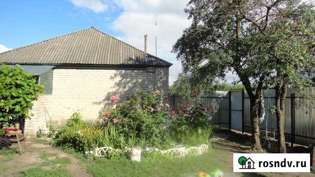 Дом 68 м² на участке 20 сот. на продажу в Репьевке Репьевка - изображение 1