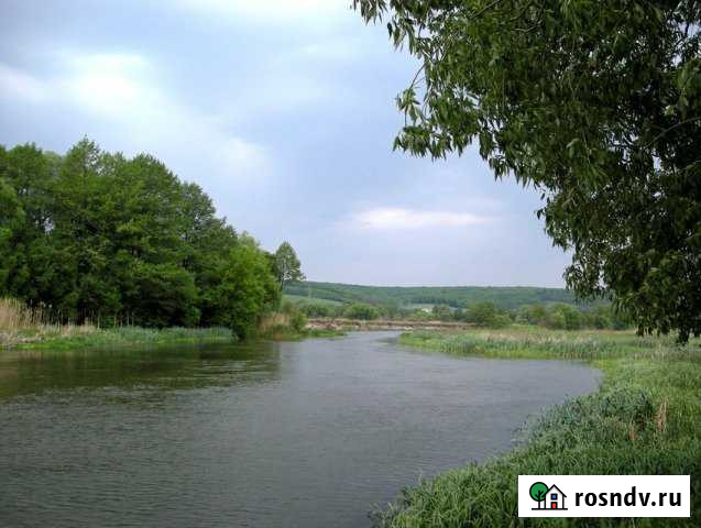 Участок ИЖС 30 сот. на продажу в Шебекино Шебекино - изображение 1