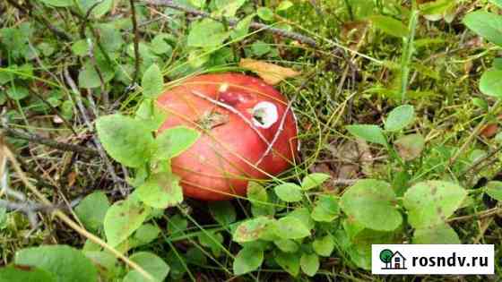 Участок ИЖС 16 сот. на продажу в Окуловке Окуловка
