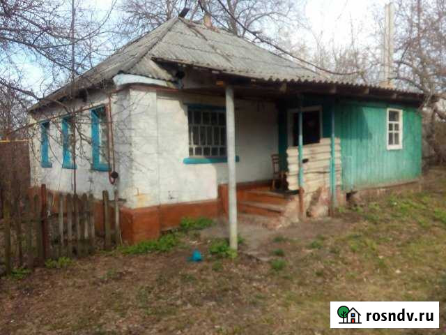 Дом 45 м² на участке 60 сот. на продажу в Короче Короча - изображение 1